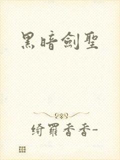 黑暗剑圣封面