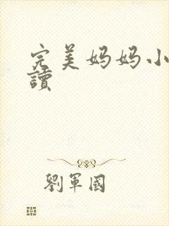 完美妈妈小说阅读封面