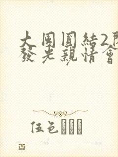 大团圆结2闪闪发光亲情会