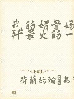 我的媚骨妈妈林轩最火的一句