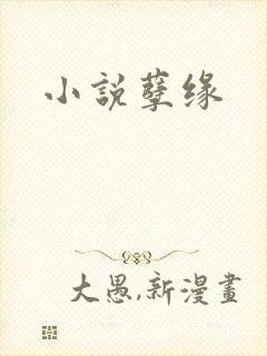 小说孽缘