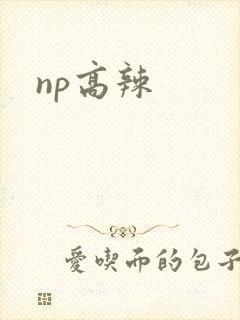 np高辣
