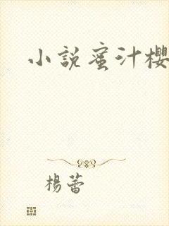 小说蜜汁樱桃