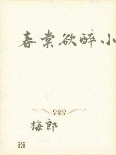 春棠欲醉小说