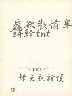 瘾欲欢愉半块小饼干tnt