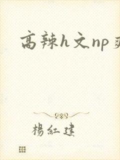 高辣h文np爽封面