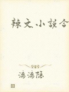 辣文小说合集封面