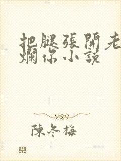 把腿张开老子臊烂你小说