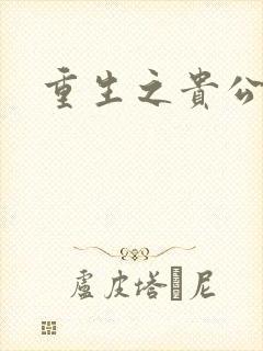 重生之贵公子