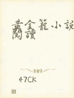 黄金笼小说免费阅读封面