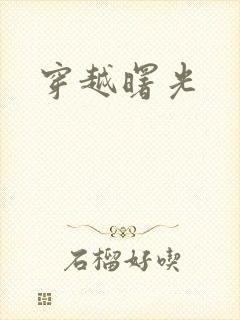 穿越曙光封面