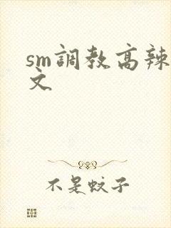 sm调教高辣h文