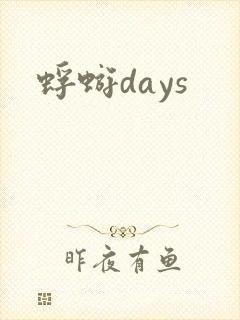 蜉蝣days封面