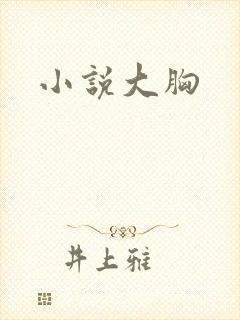 小说大胸
