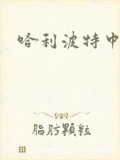 哈利波特中文版