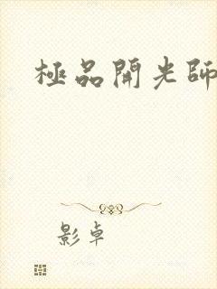 极品开光师