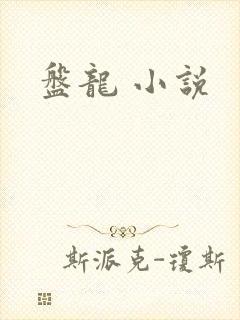 盘龙 小说