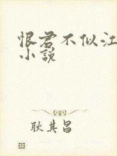 恨君不似江楼月小说封面