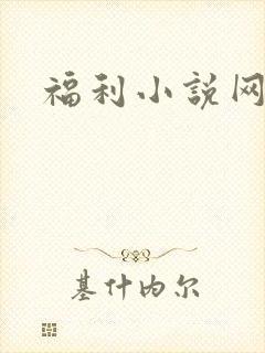 福利小说网