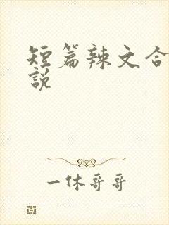 短篇辣文合集小说封面