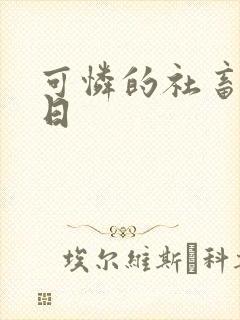 可怜的社畜东度日