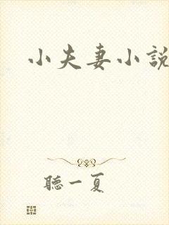 小夫妻小说