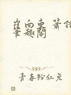 崔向东 萧错 笔趣阁
