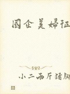 国企美妇征途