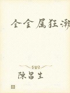 全金属狂潮小说封面