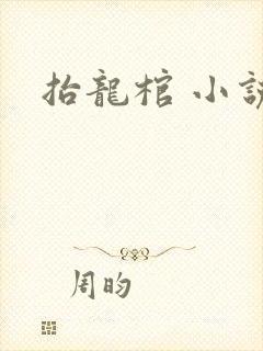 抬龙棺 小说