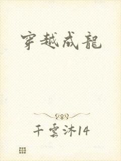 穿越成龙