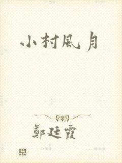 小村风月封面