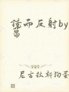 镜面反射by九葛