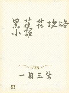 黑莲花攻略手册小说