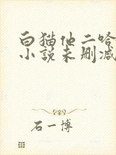 白猫他二哈师尊小说未删减封面