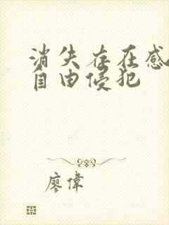 消失存在感消失自由侵犯封面