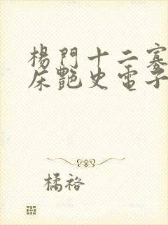 杨门十二寡妇肉床艳史电子书