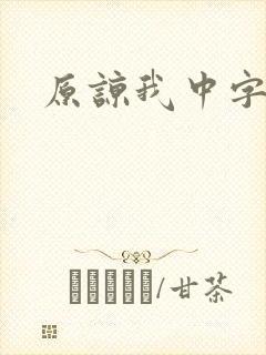 原谅我中字封面