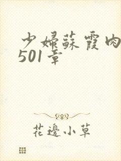 少妇苏霞肉欲第501章封面
