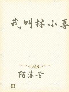 我叫林小喜17