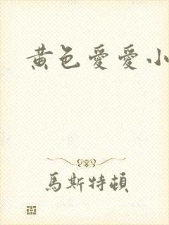 黄色爱爱小说封面