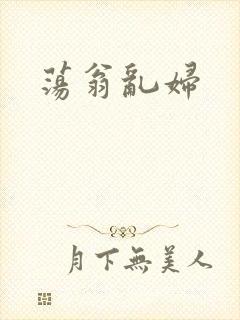 荡翁乱妇
