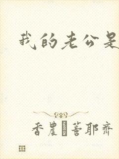 我的老公是军阀封面
