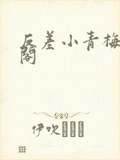 反差小青梅笔趣阁