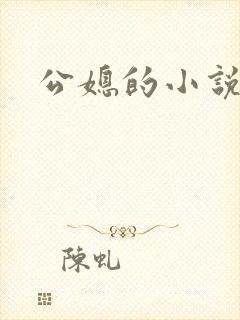 公媳的小说封面