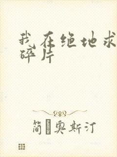 我在绝地求生捡碎片封面