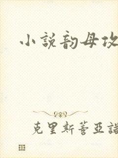 小说韵母攻略封面
