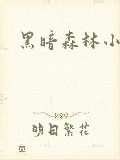 黑暗森林小说