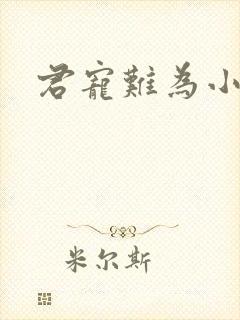 君宠难为小说封面