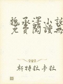 魏承泽小说全文免费阅读无弹窗笔趣